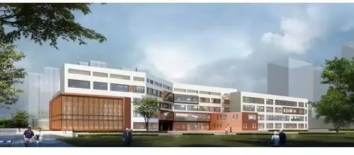 敲定 河西驚現稀缺小戶型學區房,總價300萬起 還是 鐵片