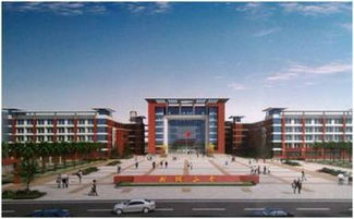 從幼兒園到大學,武漢人擠破頭都想去的學校竟是這些