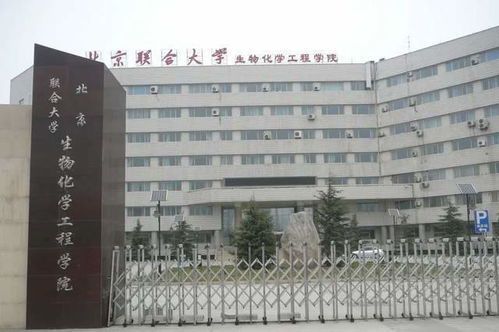 朝陽中心小學——培育未來的搖籃